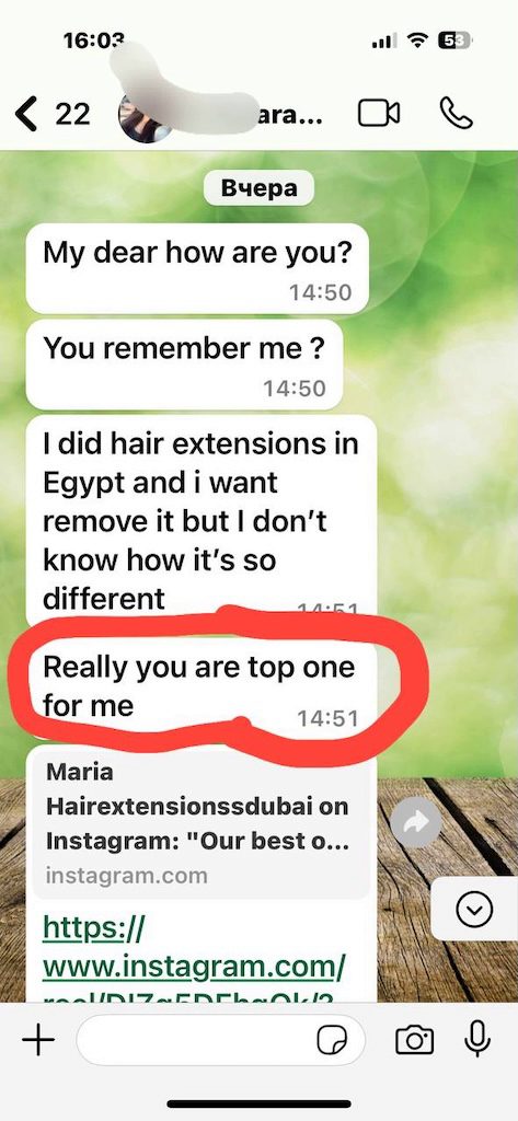 Healthy Shine Client Story. Client story praising glossy, healthy-looking hair after premium extension application.